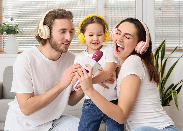 Karaoke Wireless Mic